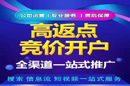 竞价广告投放技巧与案例分析